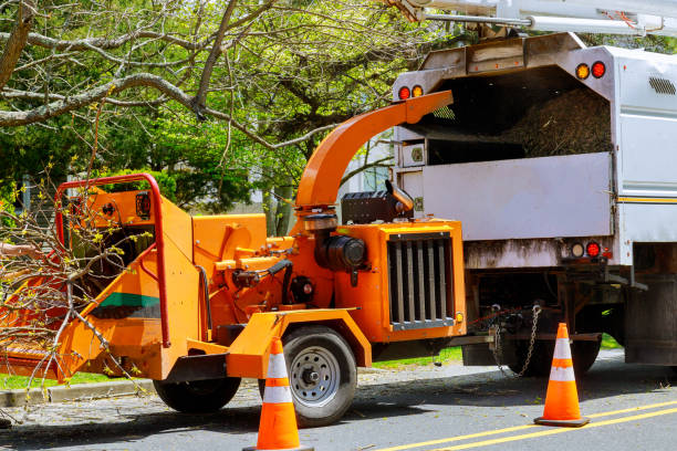 Roslyn Heights, NY Tree Removal and Landscaping Services Company